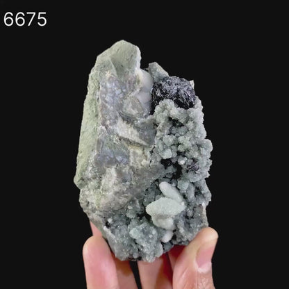 Botryoidal Babingtonite & Coated Calcite with Chalcedony Natural Mineral Specimen # B 6675