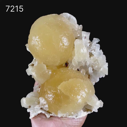 Rare Dual-Habit Golden Stellerite Spheres on Blade Matrix -Collector’s Specimen from Sambhaji Nagar, India # B 7215
