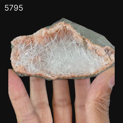 Scolecite Sprays Inside Heulandite Geode Natural Mineral Specimen # B 5795