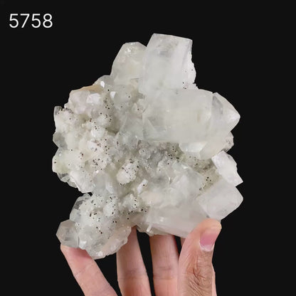 Apophyllite Cubes on Chalcedony Natural Mineral Specimen # B 5758