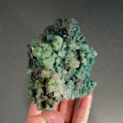 Rare Marshy Green Apophyllite Crystal Cluster from Jalgaon, India | Raw Natural Zeolite Mineral Specimen for Collectors # DKT4