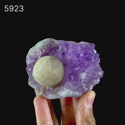 Fluorite Huge Ball on Amethyst Very Rare Natural Mineral Specimen # B 5923