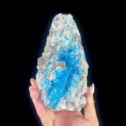 Electric Electric Blue Pentagonite Sprays on Heulandite Matrix - Rare Collector’s Cabinet Specimen from Pune, India  # DKT180