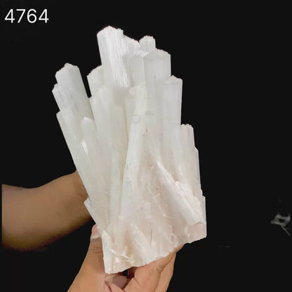 Scolecite Sprays Natural Mineral Specimen  # B 4764