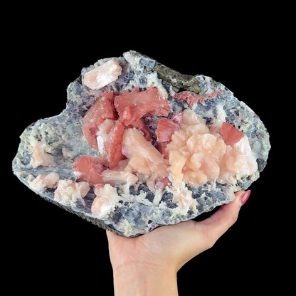 Peach Heulandite with Stilbite and Chalcedony on Matrix - Collector’s Cabinet Specimen from Jalgaon, India # DKT192