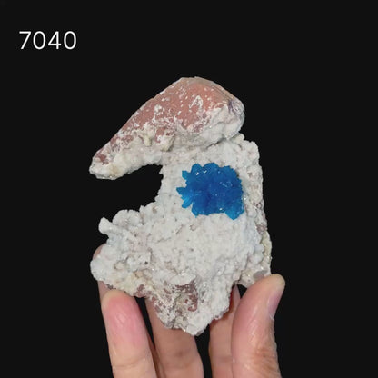 Cavansite on Heulandite (Rare Find) Natural Mineral Specimen # B 7040