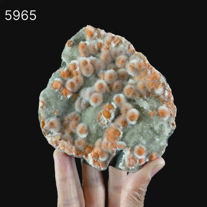Thomsonite Orange with Mesolite and Heulandite - *Rare Find* Free Standing, Natural Mineral Specimen # B 5965 Museum