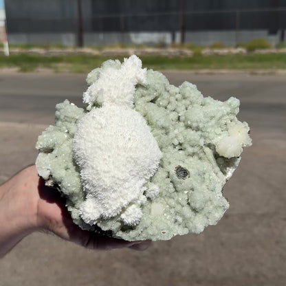 Snowy White Mordenite Puff on Sparkling Greenish Calcite Cluster Matrix – Rare Indian Zeolite Mineral Specimen # DKT128