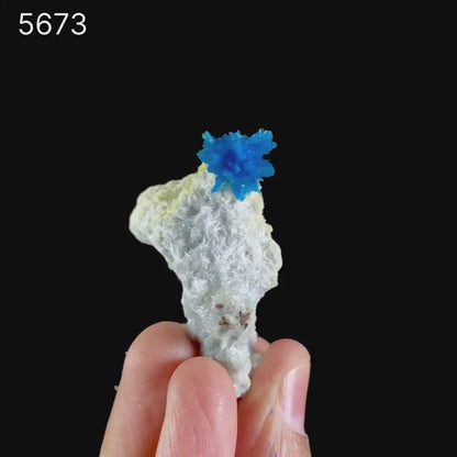 Pentagonite on Mordeite (Rare Find) Natural Mineral Specimen # B 5673