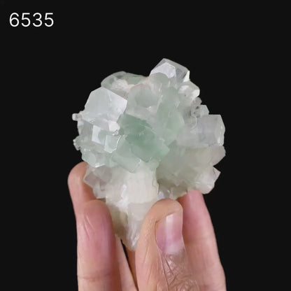 Green Apophyllite Disco Ball with Stilbite Natural Mineral Specimen # B 6535