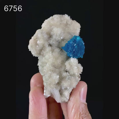 Cavansite on Heulandite (Rare Find) Natural Mineral Specimen # B 6756
