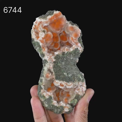 Thomsonite Orange Rare Find Natural Mineral Specimen # B 6744