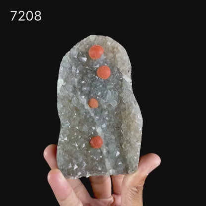 Rare Red Botryoidal Fluorite Spheres on Sparkling Quartz Matrix - Museum-Grade Specimen from Nashik, India # B 7208