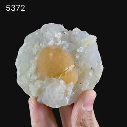 Fluorite ball on MM Quartz Natural Mineral Specimen # B 5372