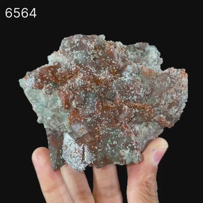 Dark Chocolate Marshy Apophyllite Natural Mineral Specimen # B 6564