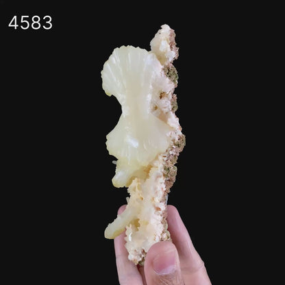 Superb Stilbite Bow-Tie on Heulandite Natural Mineral Specimen Natural Mineral Specimen  # B 4583
