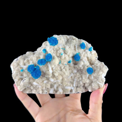 Electric Blue Cavansite Rosettes with Stilbite & Heulandite - Collector’s Indian Zeolite Specimen from Pune #DKT154