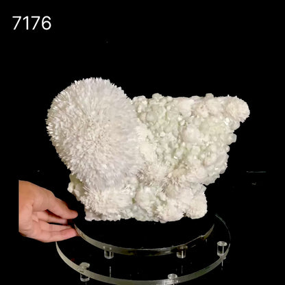 Huge Mordenite Flower with Apophyllite – Freestanding Natural Mineral Specimen # B 7176