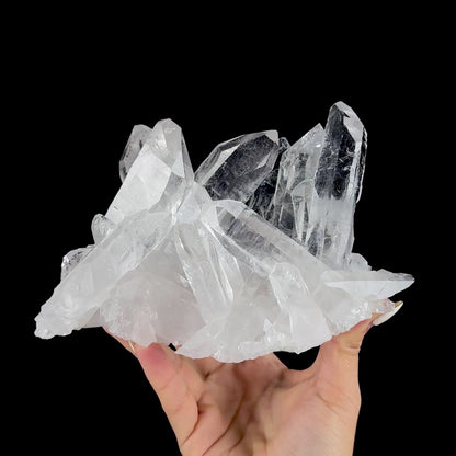 Water-Clear Himalayan Clear Quartz Crystal Cluster - Collector’s Cabinet Specimen from Himachal Pradesh, India # DKT179
