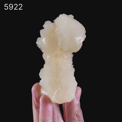 Stellerite Bow Natural Mineral Specimen # B 5922