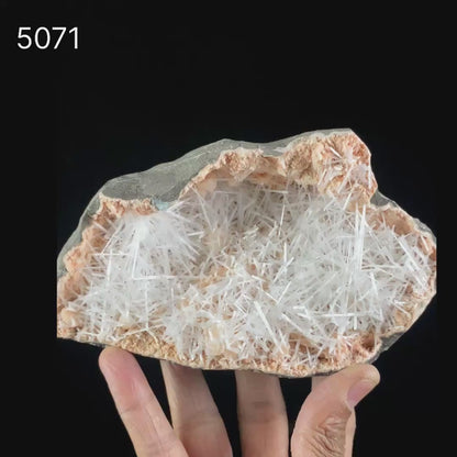 Scolecite Sprays Inside Heulandite Geode Natural Mineral Specimen  # B 5071