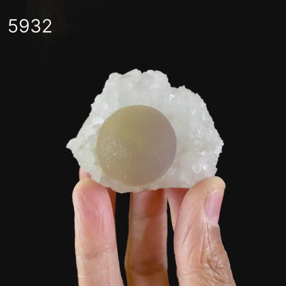 Fluorite balls on MM Quartz Natural Mineral Specimen # B 5932