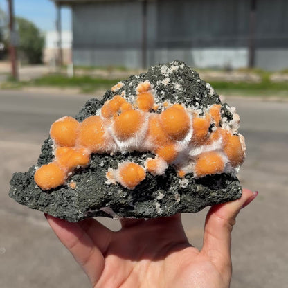 Vibrant Orange Thomsonite Balls with Needle Mesolite on Basalt Matrix – Premium Indian Mineral Specimen # DKT109