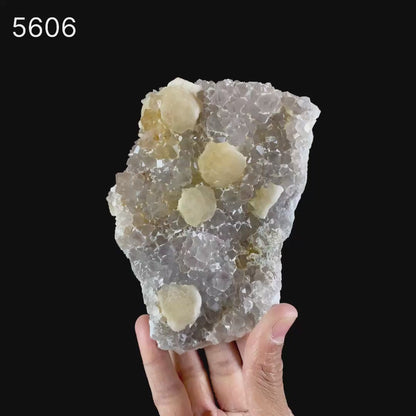 Fluorite on Amethyst Natural Mineral Specimen # B 5606