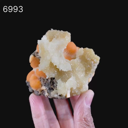 Thomsonite Orange Rare Find with Calcite Natural Mineral Specimen # B 6993