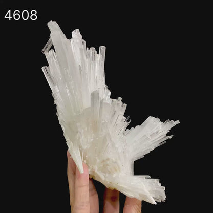 Scolecite Glassy Spray Natural Mineral Specimen  # B 4608