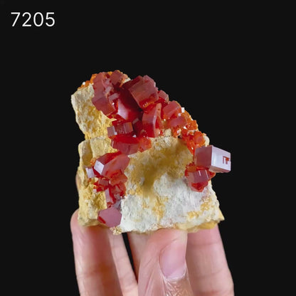 Lustrous Deep Red-Orange Vanadinite Crystals on Natural Matrix - Classic Collector Specimen from Mibladen, Morocco # B 7205