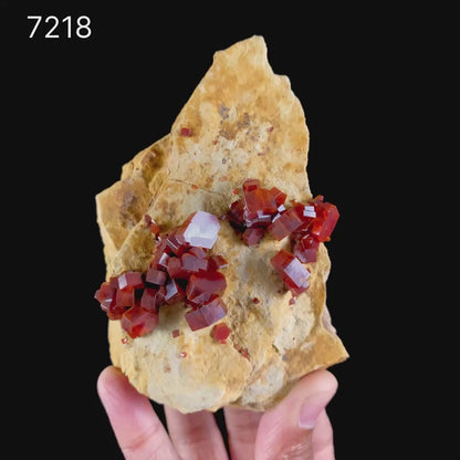 Lustrous Deep Red-Orange Vanadinite Crystals on Natural Matrix - Classic Collector Specimen from Mibladen, Morocco # B 7218