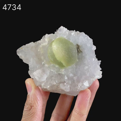 Fluorite Botryoidal on MM Quartz Natural Mineral Specimen  # B 4734