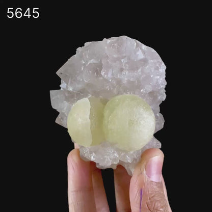 Fluorite on Amethyst Natural Mineral Specimen # B 5645