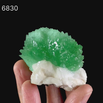 Rare Green Apophyllite with Heulandite Natural Mineral Specimen # B 6830