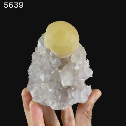 Fluorite on Amethyst Natural Mineral Specimen # B 5639