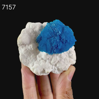 Museum Grade - Cavansite on Mordenite – Exceptional Natural Formation from Wagholi , Pune # B 7157