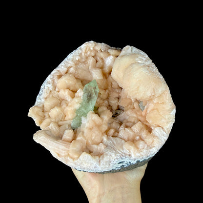 Prismatic Green Apophyllite Crystal Nestled in Peach Stilbite Geode Pocket - Collector’s Cabinet Specimen from Jalgaon, India # DKT188 Apophyllite Superb Minerals 