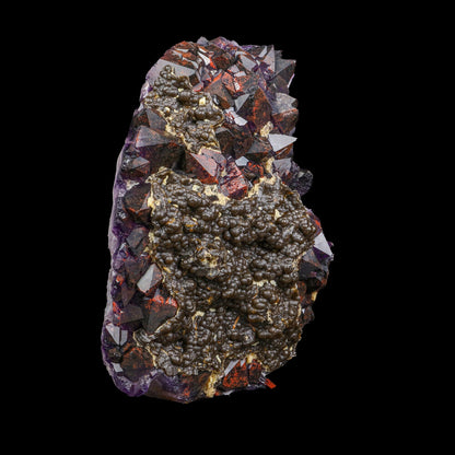 Rare Alien Amethyst Crystal Cluster with Botryoidal Goethite Coating – Unique Natural Mineral Specimen from Telangana, India # B 7240 Amethyst Superb Minerals 