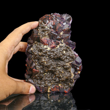 Rare Alien Amethyst Crystal Cluster with Botryoidal Goethite Coating – Unique Natural Mineral Specimen from Telangana, India # B 7240 Amethyst Superb Minerals 