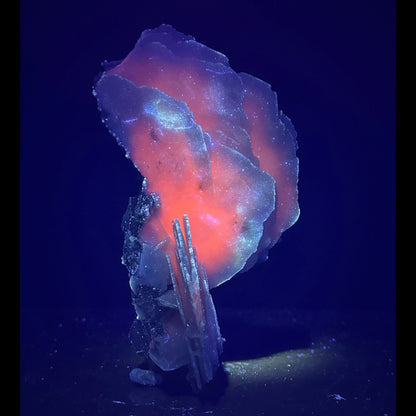 Rare Blade Calcite – Red Fluorescent Natural Mineral Specimen from Mumbai # B 7171 Calcite Superb Minerals 