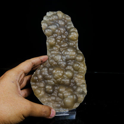 Rare Botryoidal Agatized Chalcedony Mineral Specimen – Natural Indian Crystal Cluster for Collectors # B 7106 Chalcedony Superb Minerals 