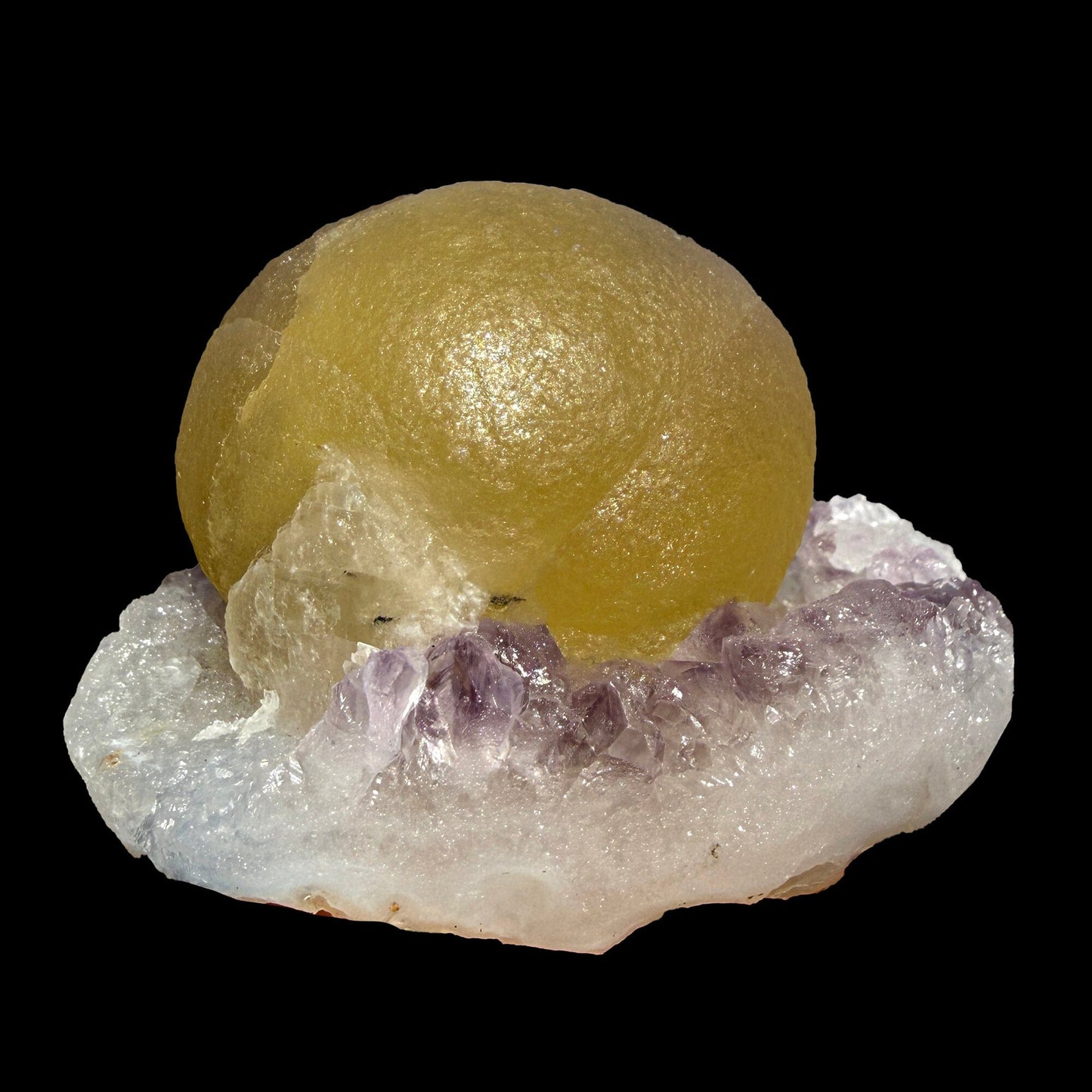 Rare Botryoidal Fluorite on Amethyst Cluster – Top Grade Indian Zeolite Mineral Specimen | Collector # DKT28 Fluorite Superb Minerals 