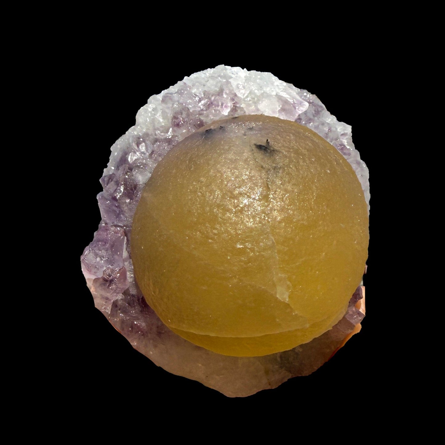 Rare Botryoidal Fluorite on Amethyst Cluster – Top Grade Indian Zeolite Mineral Specimen | Collector # DKT28 Fluorite Superb Minerals 