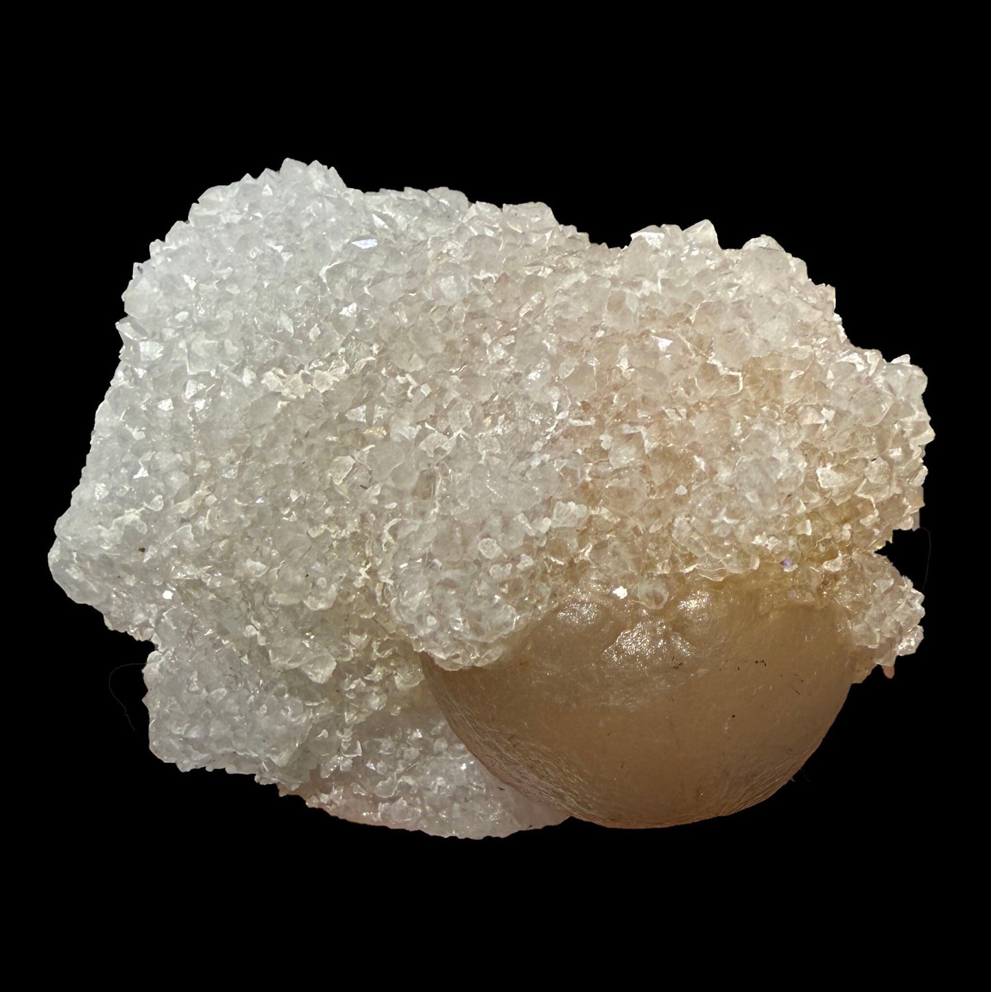 Rare Botryoidal Fluorite on Druzy Quartz Matrix – Premium Indian Mineral Specimen from Madhya Pradesh # B DKT106 Fluorite Superb Minerals 