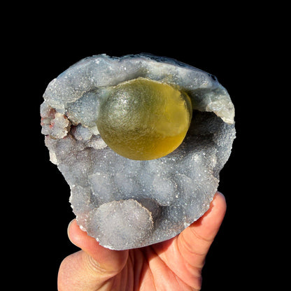 Rare Botryoidal Fluorite on Quartz Crystal Cluster – Nashik India Natural Mineral Specimen # DKT12 Fluorite Superb Minerals 