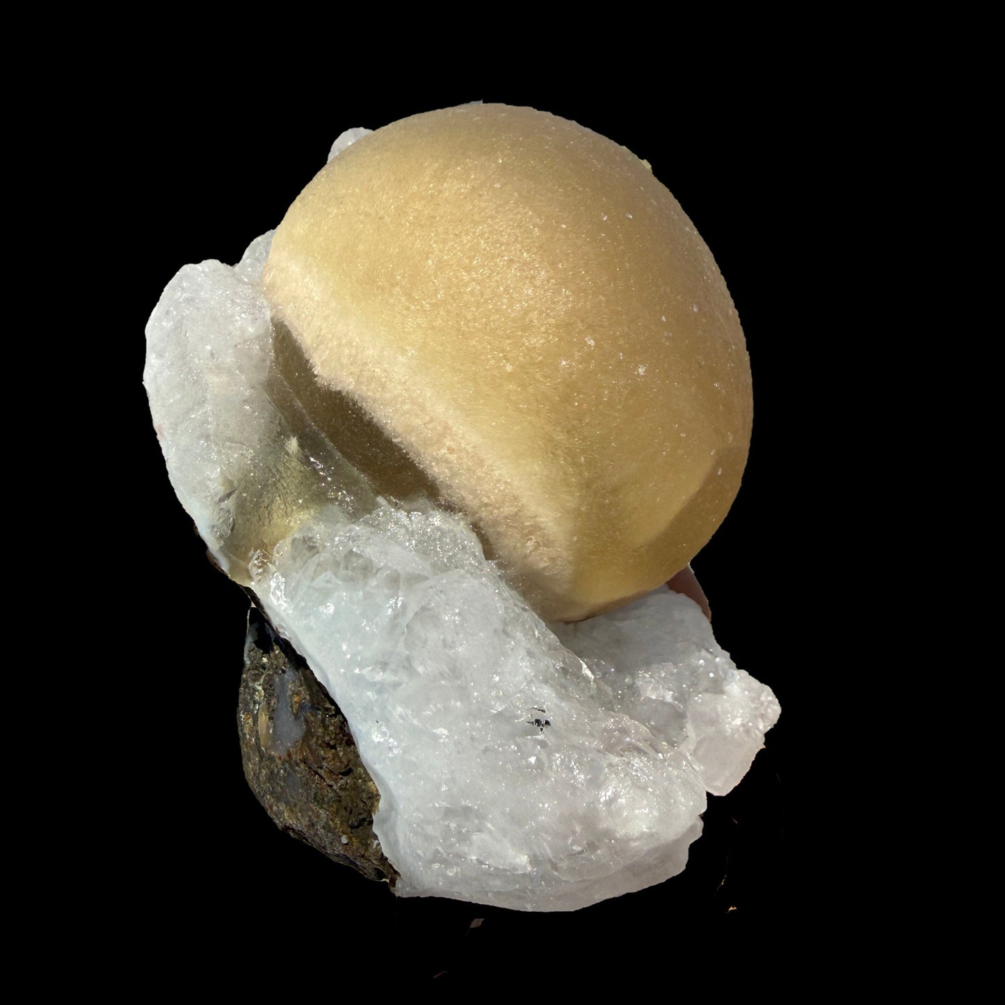 Rare Botryoidal Fluorite on Quartz Matrix – Premium Indian Mineral Specimen from Madhya Pradesh # B DKT118 Fluorite Superb Minerals 