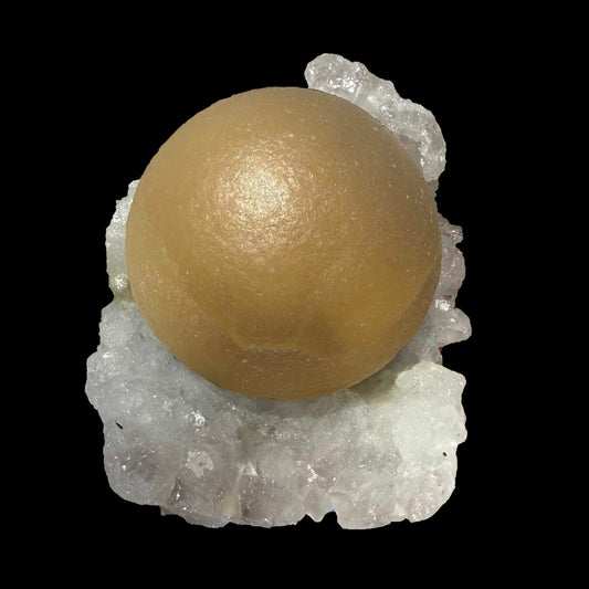 Rare Botryoidal Fluorite on Quartz Matrix – Premium Indian Mineral Specimen from Madhya Pradesh # B DKT118 Fluorite Superb Minerals 