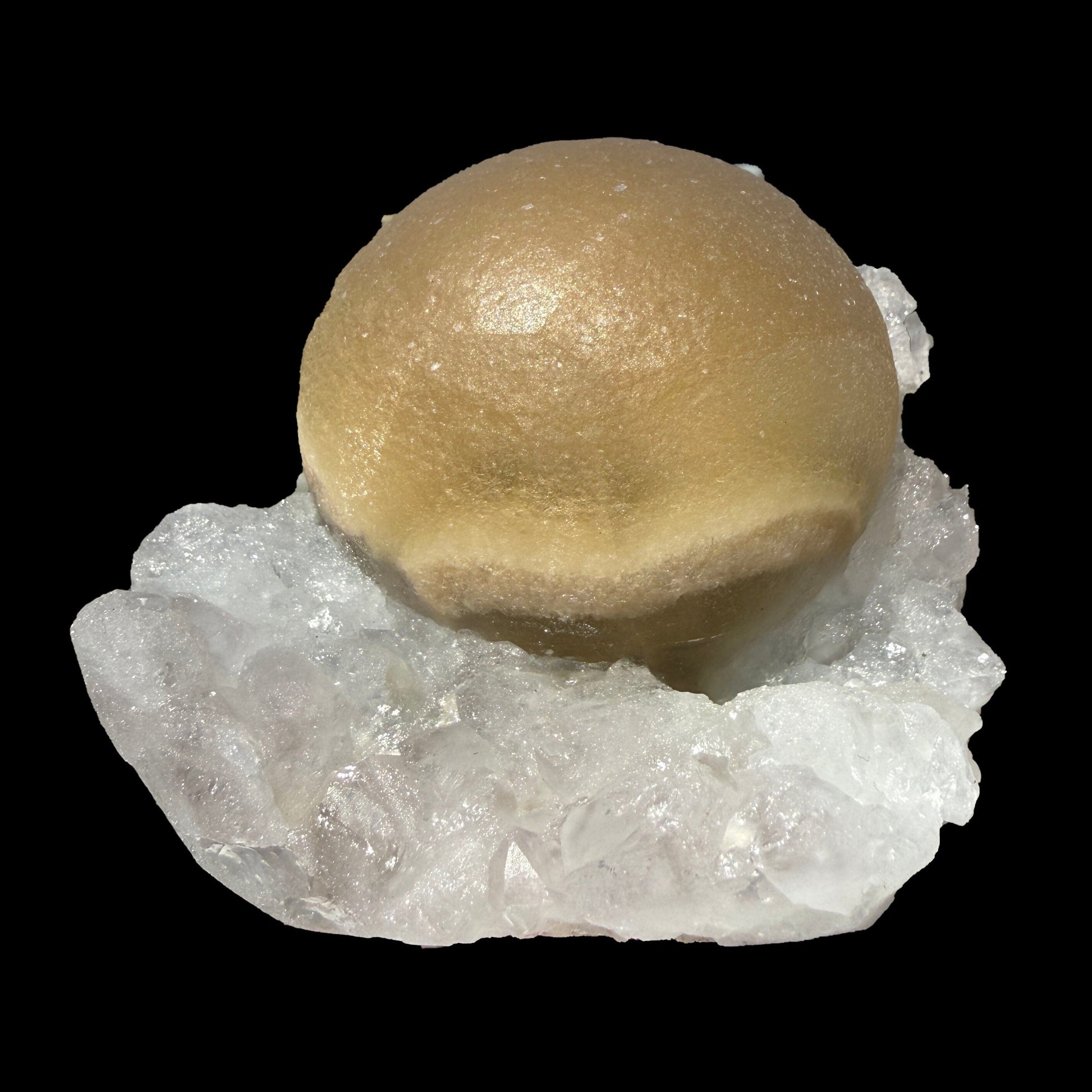 Rare Botryoidal Fluorite on Quartz Matrix – Premium Indian Mineral Specimen from Madhya Pradesh # B DKT118 Fluorite Superb Minerals 