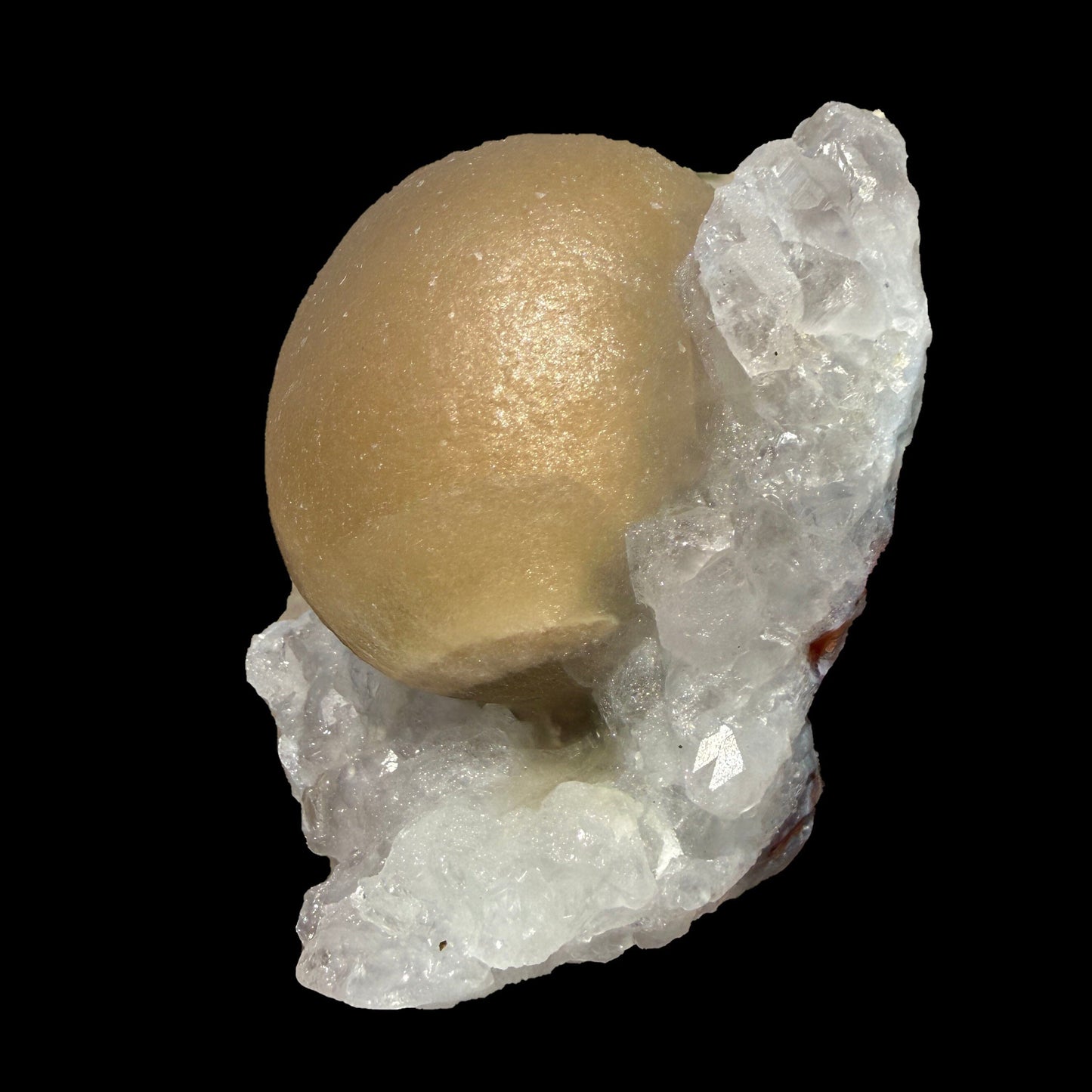 Rare Botryoidal Fluorite on Quartz Matrix – Premium Indian Mineral Specimen from Madhya Pradesh # B DKT118 Fluorite Superb Minerals 